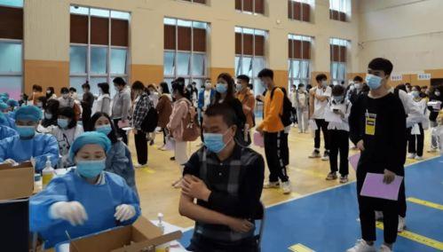 迪希亚最新爆料消息视频,独家内幕大公开! 第3张 迪希亚最新爆料消息视频,独家内幕大公开! 第3张